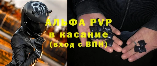 ГАЛЛЮЦИНОГЕННЫЕ ГРИБЫ Ельня