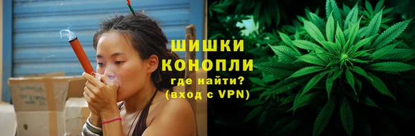 гашик Елизово