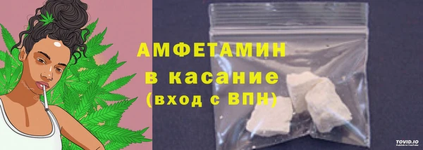 ГАЛЛЮЦИНОГЕННЫЕ ГРИБЫ Ельня