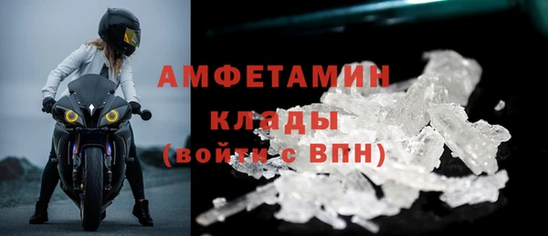 ГАЛЛЮЦИНОГЕННЫЕ ГРИБЫ Ельня