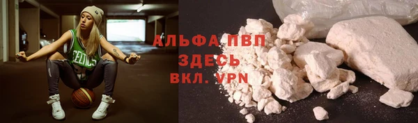ГАЛЛЮЦИНОГЕННЫЕ ГРИБЫ Ельня