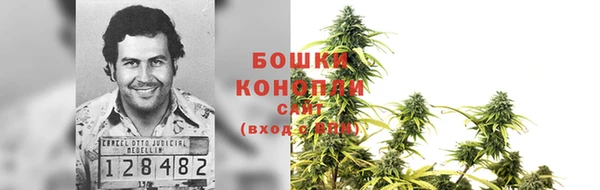 гашик Елизово