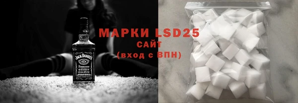 ГАЛЛЮЦИНОГЕННЫЕ ГРИБЫ Ельня