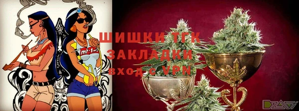 гашик Елизово