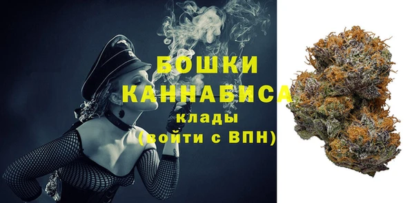 гашик Елизово
