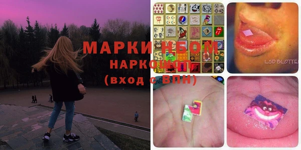 гашик Елизово