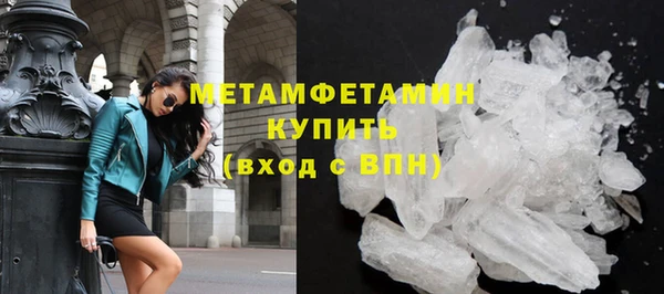 ГАЛЛЮЦИНОГЕННЫЕ ГРИБЫ Ельня